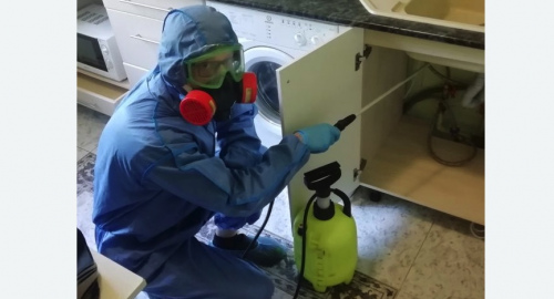 Уничтожение муравьев в квартире. Октябрьский