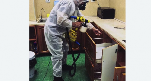 Уничтожение насекомых в квартире. Октябрьский