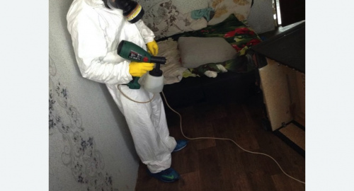 Обработка квартир от насекомых в г. Октябрьский