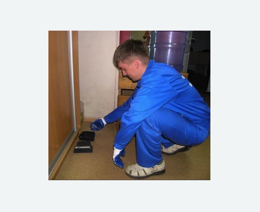 Дератизация крыс в г. Октябрьский