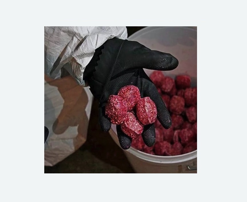 Обработка от крыс в г. Октябрьский