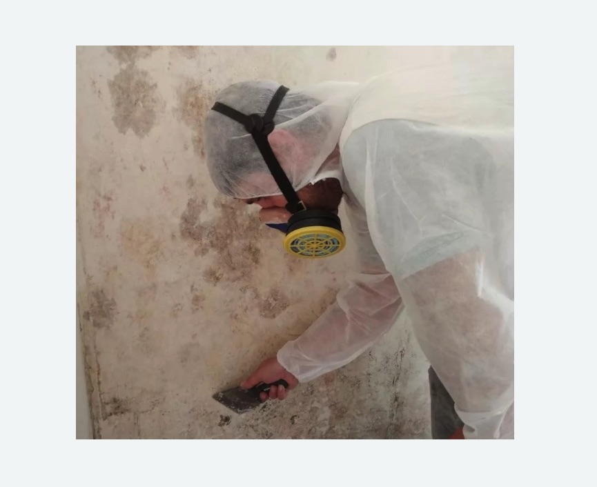 Обработка стен от плесени в г. Октябрьский