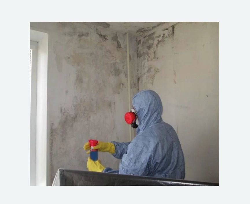 Удаление плесени в квартире в г. Октябрьский