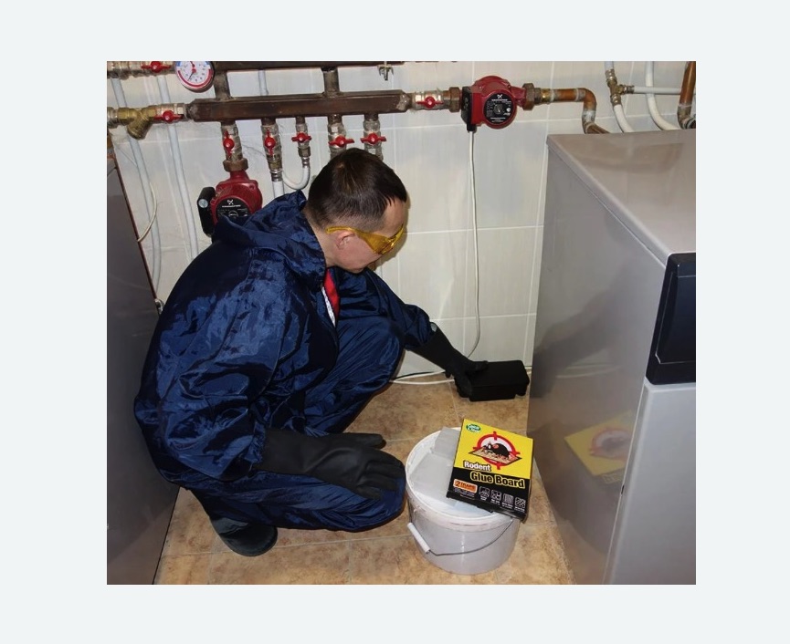 Уничтожение крыс в г. Октябрьский