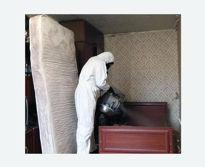 дезинфекция от клопов в г. Октябрьский