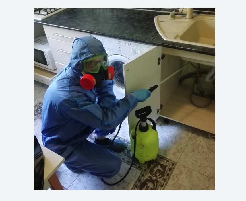 обработка от муравьев в квартире в г. Октябрьский