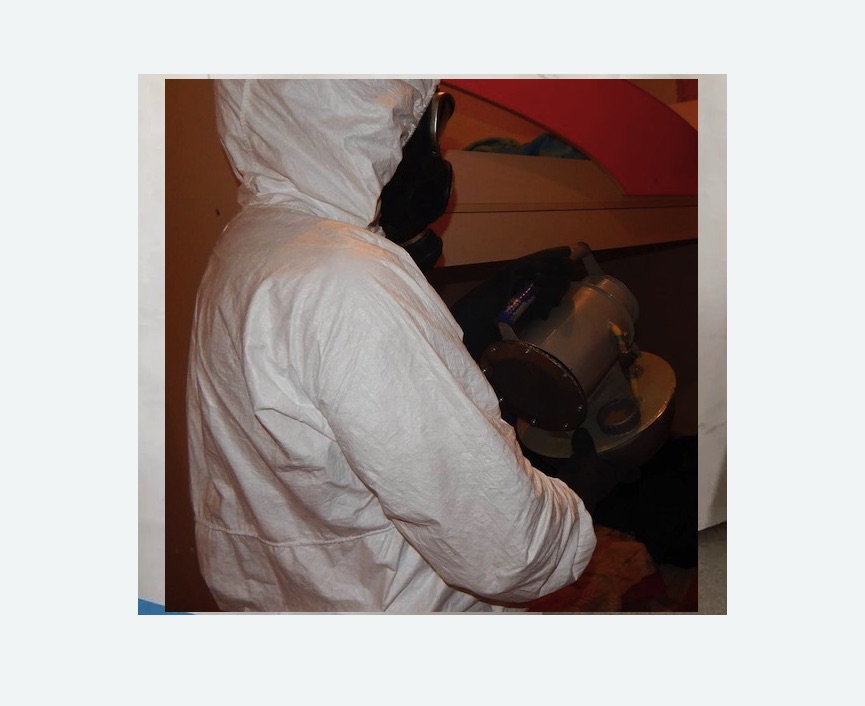 Дезинфекция от муравьев в г. Октябрьский