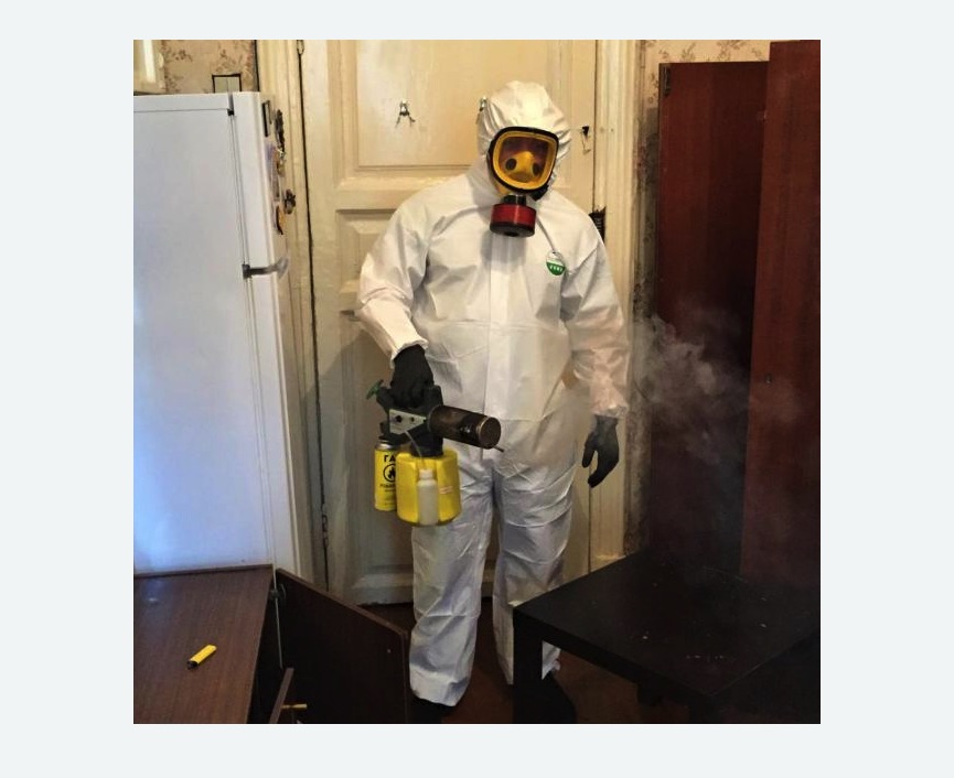 уничтожение муравьев в квартире в г. Октябрьский